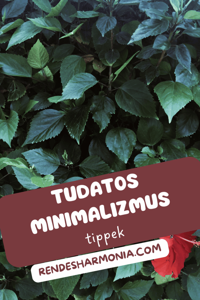 Így Törekedj A Tudatos Minimalizmusra!