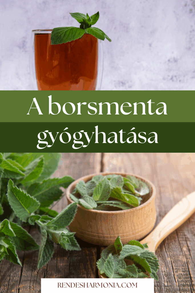 A borsmenta gyógyhatásai