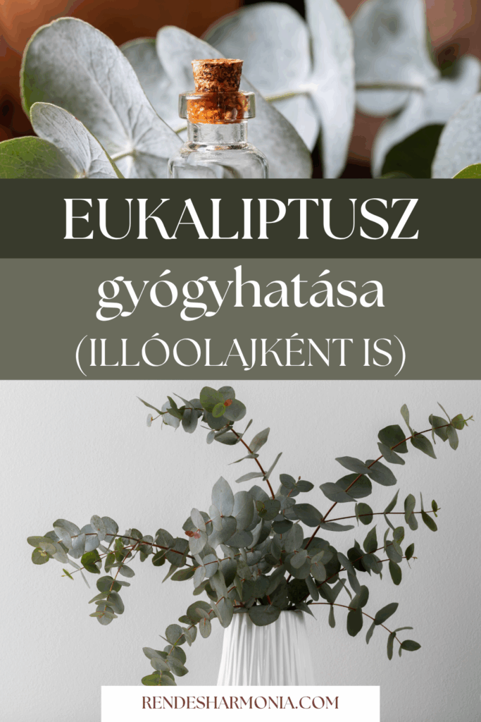 Az-eukaliptusz-gyogyhatasa