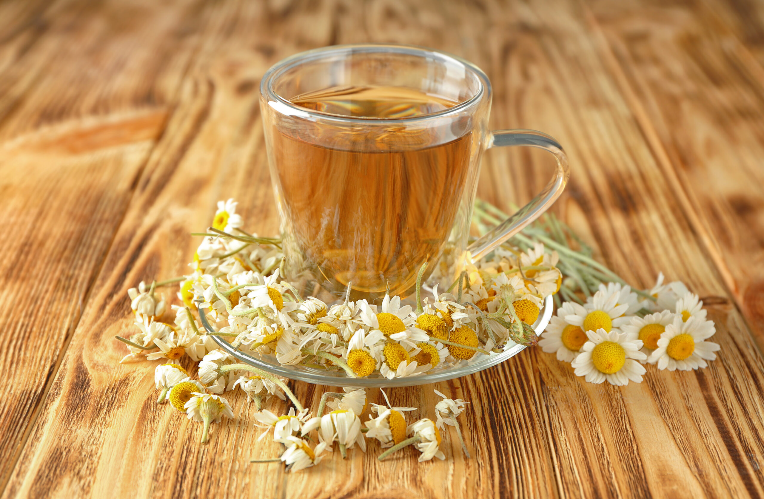 A bodza gyógyhatása: a bodzatea és a bodzaszirup