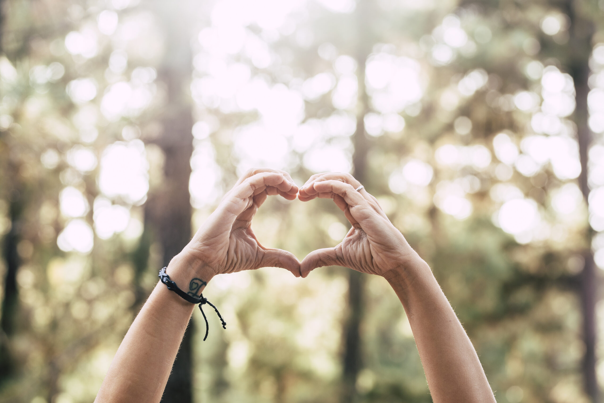 Lépj ma egy aprót. A többi jön magától. Remélem, hogy ez az 5 tipp segít, hogy könnyebben belevágj a holisztikus életmódba.
