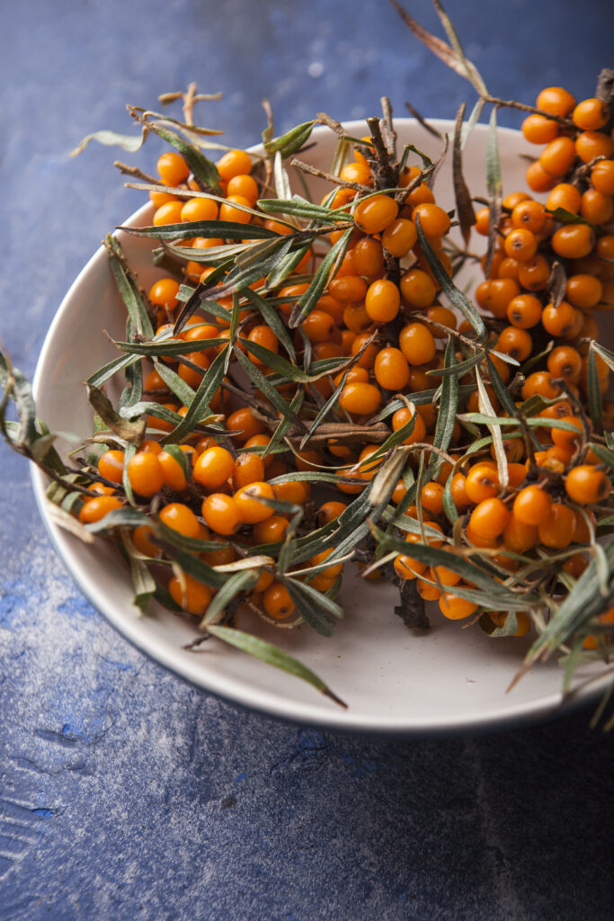 Homoktövis: az őszi immunrendszererősítő szuperbogyó, őszi megfázás ellen