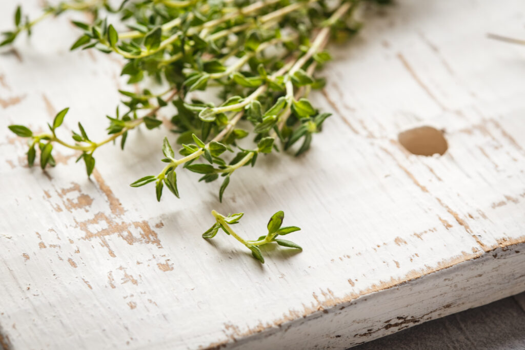 Kakukkfű gyógynövény hatásai: kakukkfű tea, kakukkfű köhögés ellen